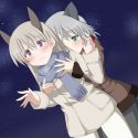 335 KB